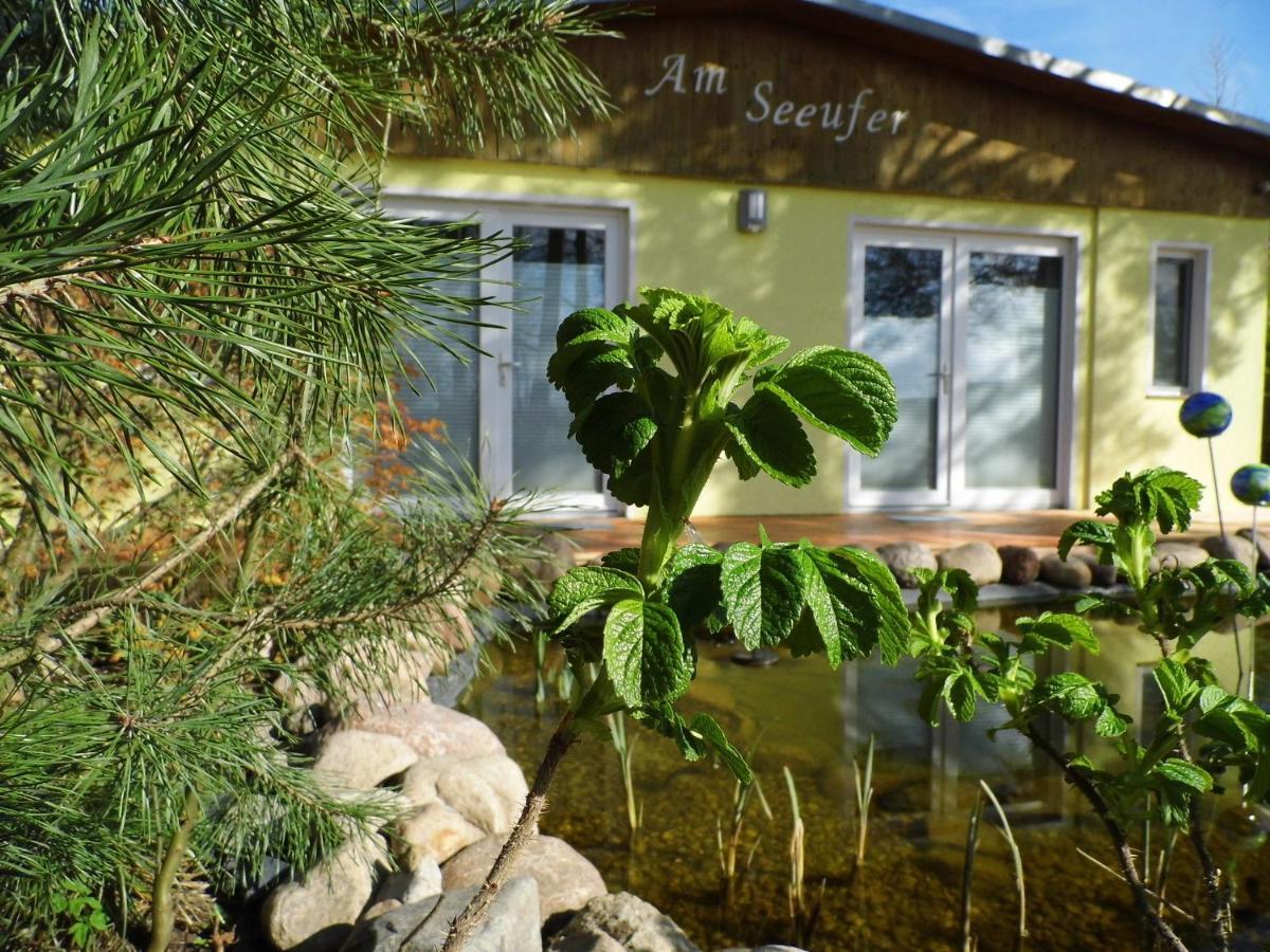 Ferienwohnung Seerose Neppermin Екстериор снимка